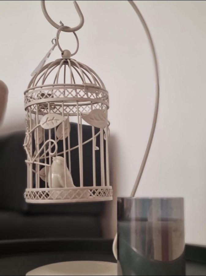 Stella Apartment Sibenik Charm&History United Ngoại thất bức ảnh