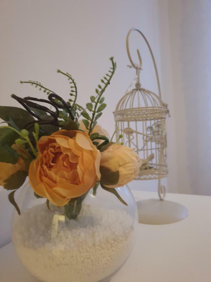 Stella Apartment Sibenik Charm&History United Ngoại thất bức ảnh