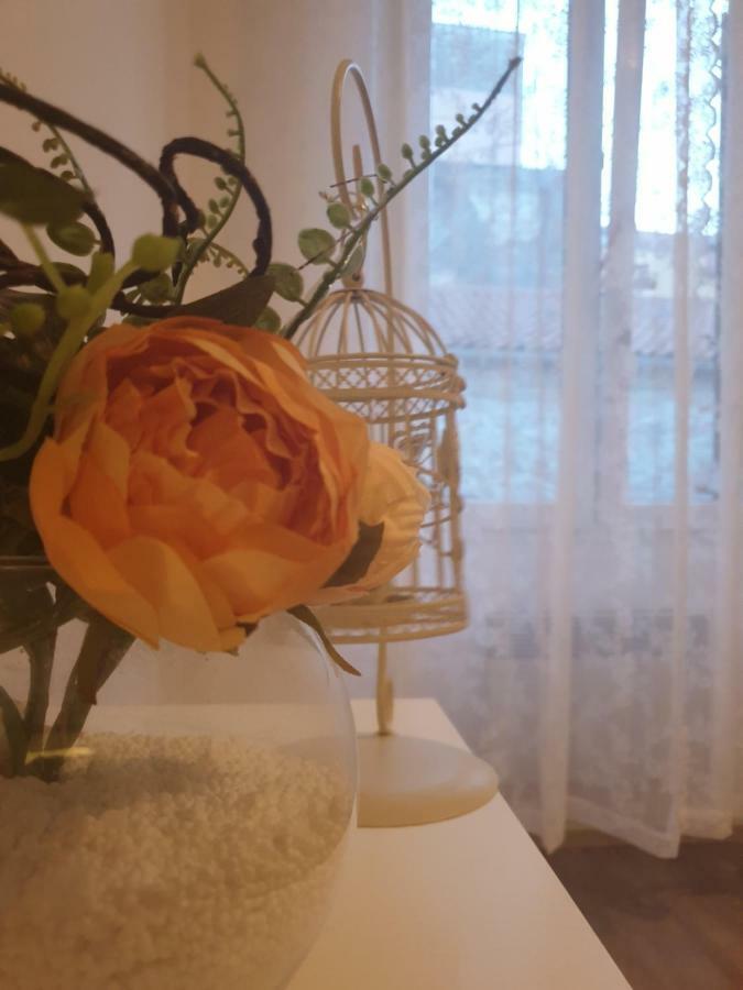 Stella Apartment Sibenik Charm&History United Ngoại thất bức ảnh